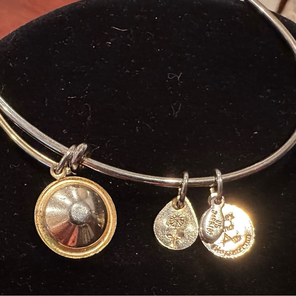 Purple birthstone (February), Alex and Ani bangle
